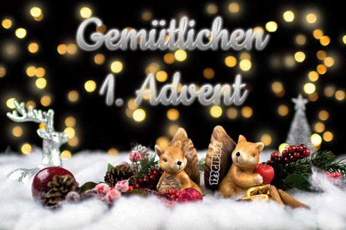 hoernchen-1.advent-0024.gif von 123gif.de Download & Grußkartenversand