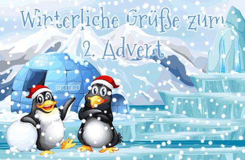 pinguine-2.advent-0040.gif von 123gif.de Download & Grußkartenversand