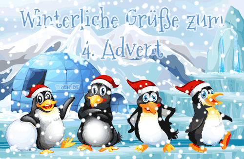 pinguine-4.advent-0050.gif von 123gif.de Download & Grußkartenversand