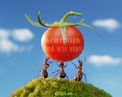 Tomaten von 123gif.de