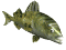 Fische von 123gif.de