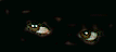 augen-0320.gif von 123gif.de Download & Grußkartenversand