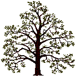 baum-0045.gif von 123gif.de Download & Grußkartenversand