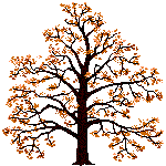 baum-0049.gif von 123gif.de Download & Grußkartenversand