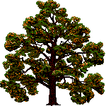 baum-0061.gif von 123gif.de Download & Grußkartenversand