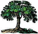 baum-0066.gif von 123gif.de Download & Grußkartenversand