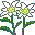 Blumen von 123gif.de