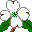 Blumen von 123gif.de