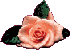 Blumen von 123gif.de