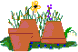 Blumen von 123gif.de