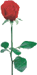 Blumen von 123gif.de