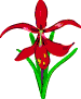 Blumen von 123gif.de