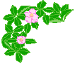 Blumen von 123gif.de