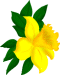 Blumen von 123gif.de