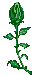 Blumen von 123gif.de