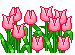 blume-0161.gif von 123gif.de Download & Grußkartenversand