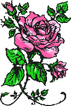 Rosafarbene von 123gif.de