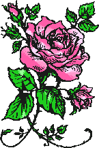 Rosen von 123gif.de