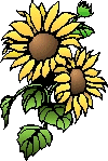 Sonnenblumen von 123gif.de