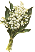 Blumenstrauss von 123gif.de