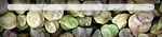 buttons-0002.jpg von 123gif.de Download & Grußkartenversand