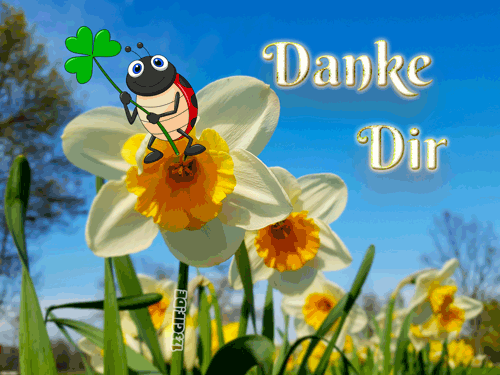 Danke Dir