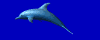 delfin-0005.gif von 123gif.de Download & Grußkartenversand