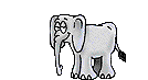 elefant-0038.gif von 123gif.de Download & Grußkartenversand