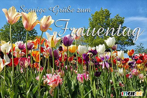 Sonnige Grüße zum Frauentag