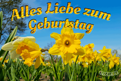 Alles Liebe zum Geburtstag