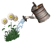 Blumen von 123gif.de