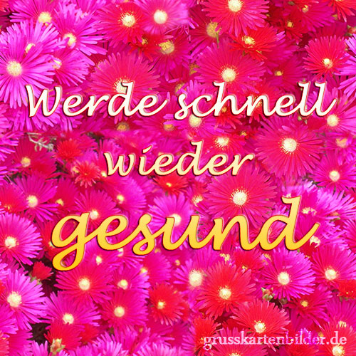 Blumen von 123gif.de