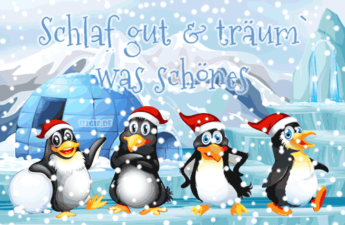 schlaf-gut-pinguine-inglu-0037.gif von 123gif.de Download & Grußkartenversand