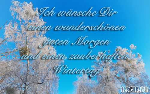 Ich wünsche Dir einen wunderschönen guten Morgen und einen zauberhaften Wintertag