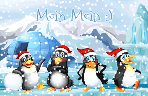moin-moin-pinguine-inglu-0028.gif von 123gif.de Download & Grußkartenversand