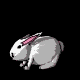 hase-0014.gif von 123gif.de Download & Grußkartenversand