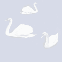 Schwan von 123gif.de