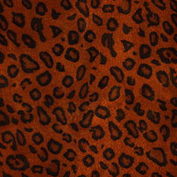 Leopard von 123gif.de