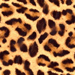 Leopard von 123gif.de