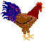 huhn-0055.gif von 123gif.de Download & Grußkartenversand