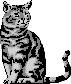 katze-0005.gif von 123gif.de Download & Grußkartenversand