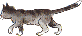 katze-0007.gif von 123gif.de Download & Grußkartenversand