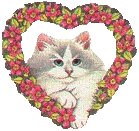 katzen-0055.gif von 123gif.de Download & Grußkartenversand