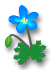 minis-1288.gif von 123gif.de Download & Grußkartenversand
