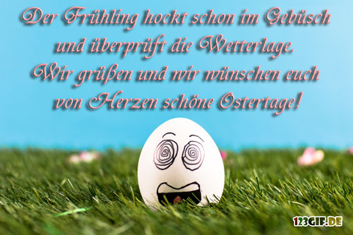 Der Frühling hockt schon im Gebüsch und üerprüft die Wetterlage... schöne Ostertage