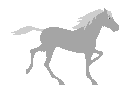 pferde-0005.gif von 123gif.de Download & Grußkartenversand