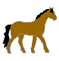 pferde-0026.gif von 123gif.de Download & Grußkartenversand