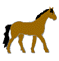 pferde-0026.gif von 123gif.de Download & Grußkartenversand