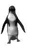 pinguine-0042.gif von 123gif.de Download & Grußkartenversand