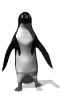 pinguine-0048.gif von 123gif.de Download & Grußkartenversand